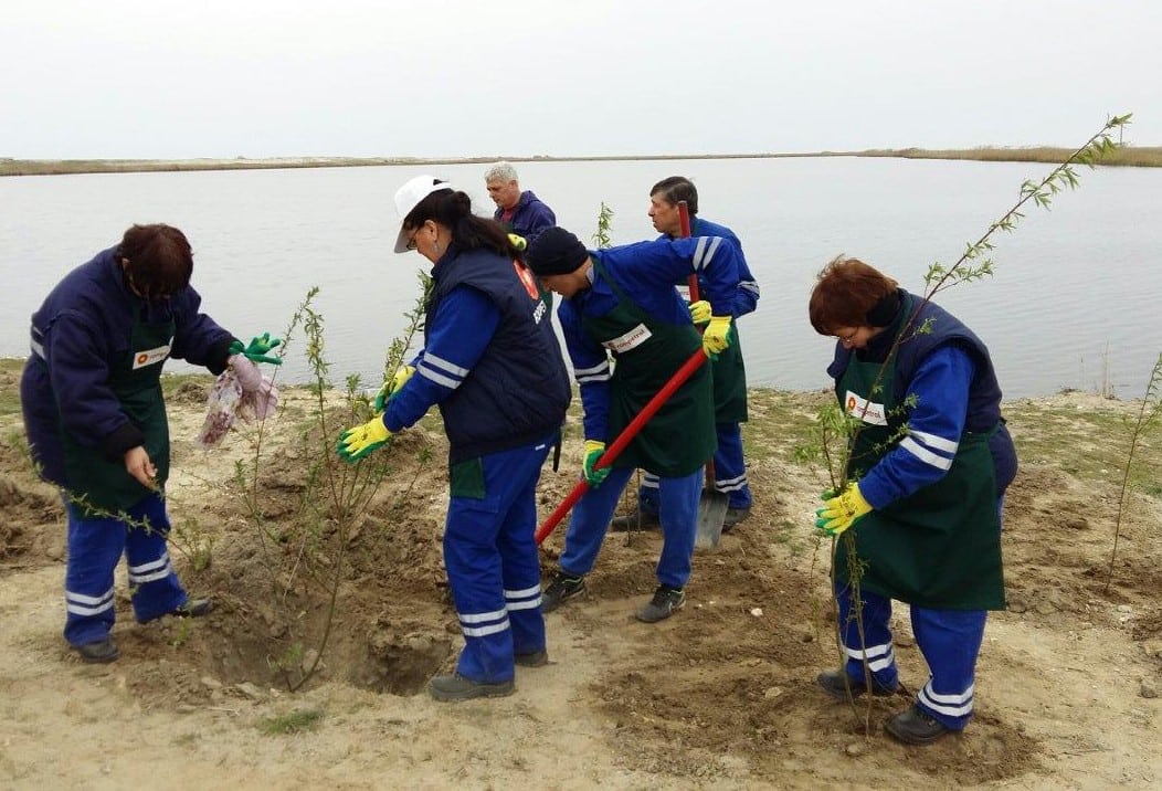 voluntari rompetrol