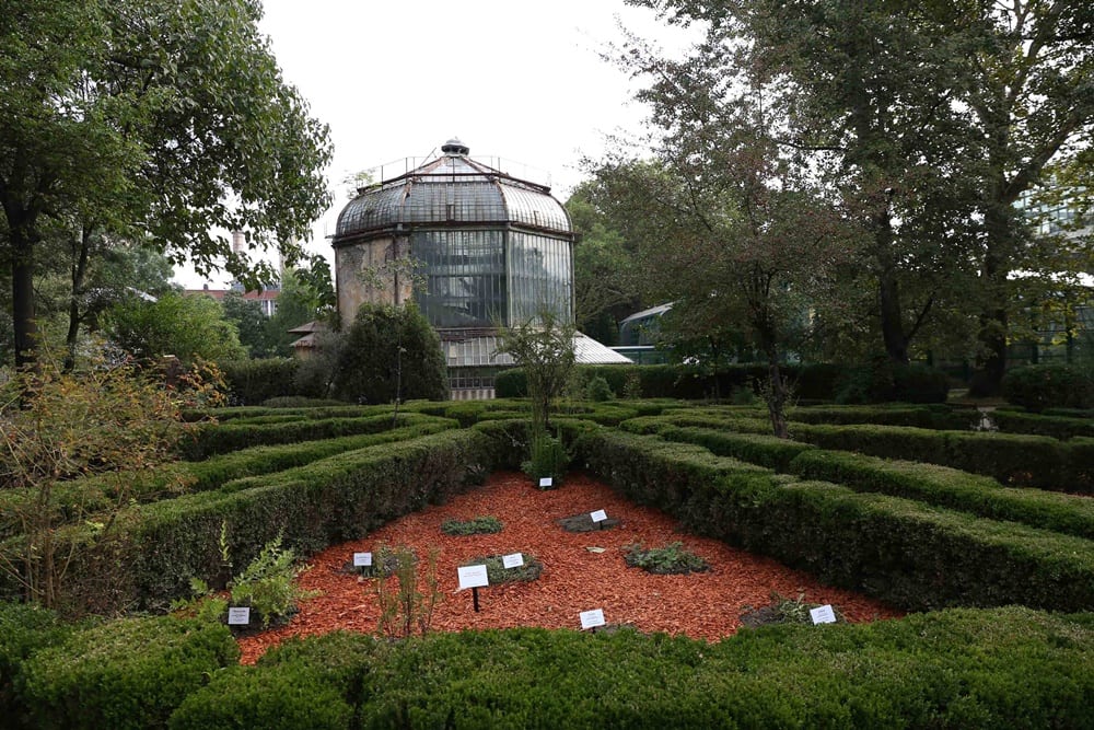 Parteneriat între Secom și Grădina Botanică