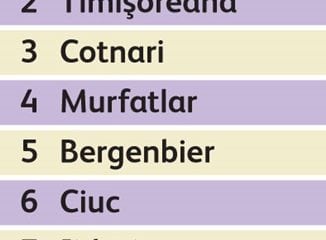 top10 bauturi alcoolice