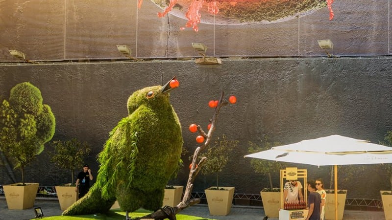 Red Berries Local Act, experiența neconvențională #urbanbynature, oferită de Strongbow® si Ogilvy Ro...