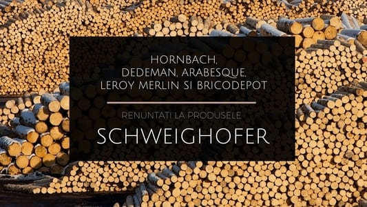 HORNBACH BRICOSTORE DEDEMAN OBI 2