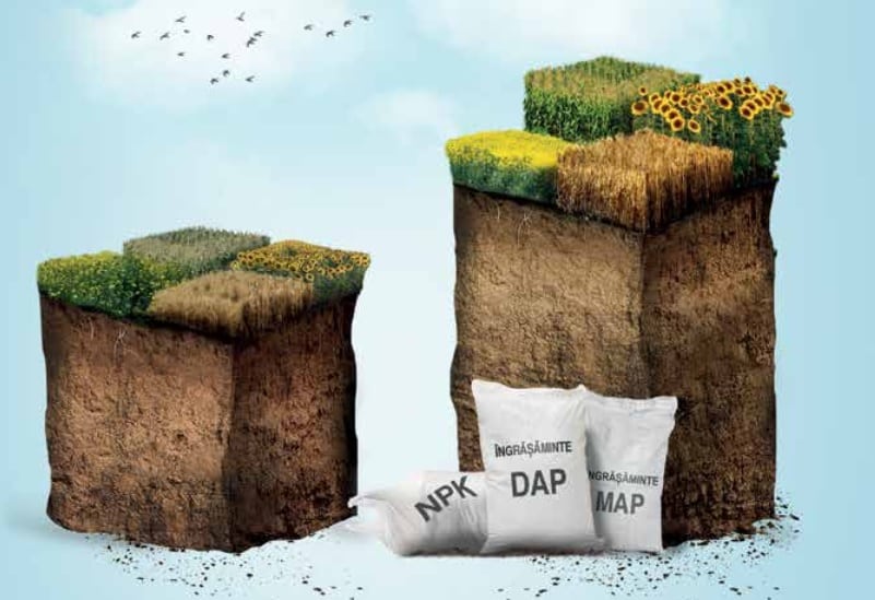 Agricover – profit de 12,2 mil lei pe divizia Agri-Business