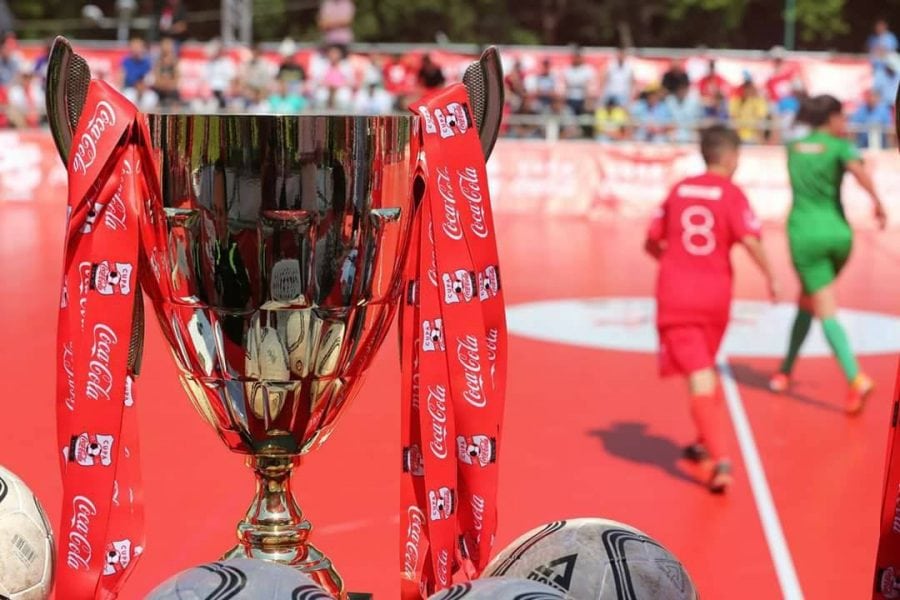 Fluierul final în Cupa Coca-Cola 2017!