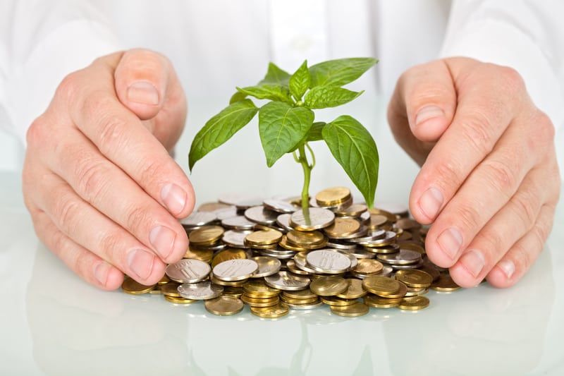 Cum întărim capitalul românesc?