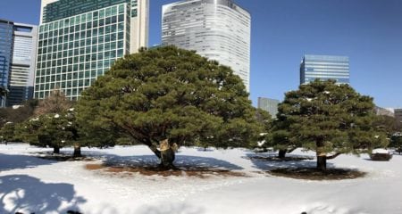 tokyo 5