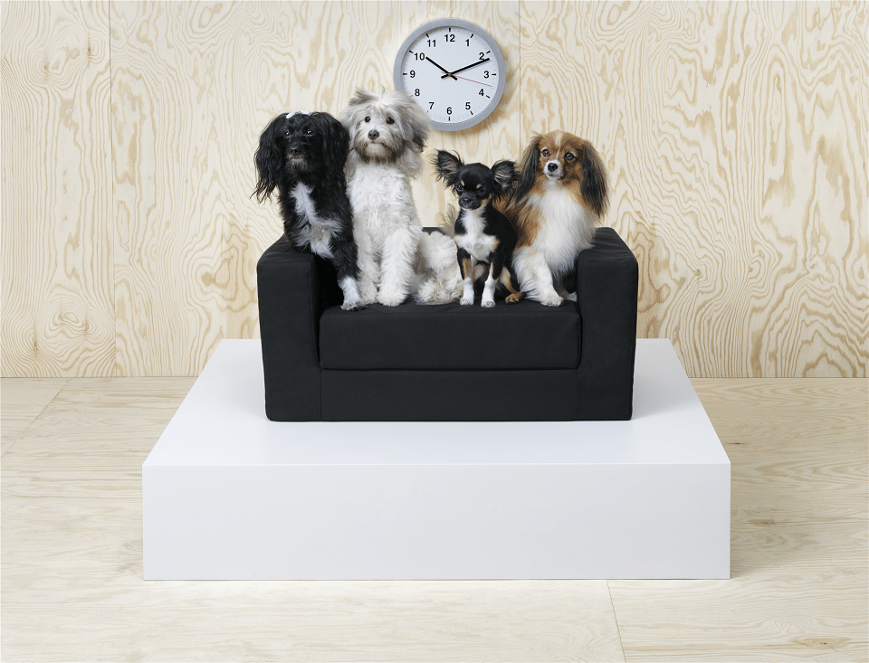 IKEA lansează o colecție pentru posesorii de animale de companie