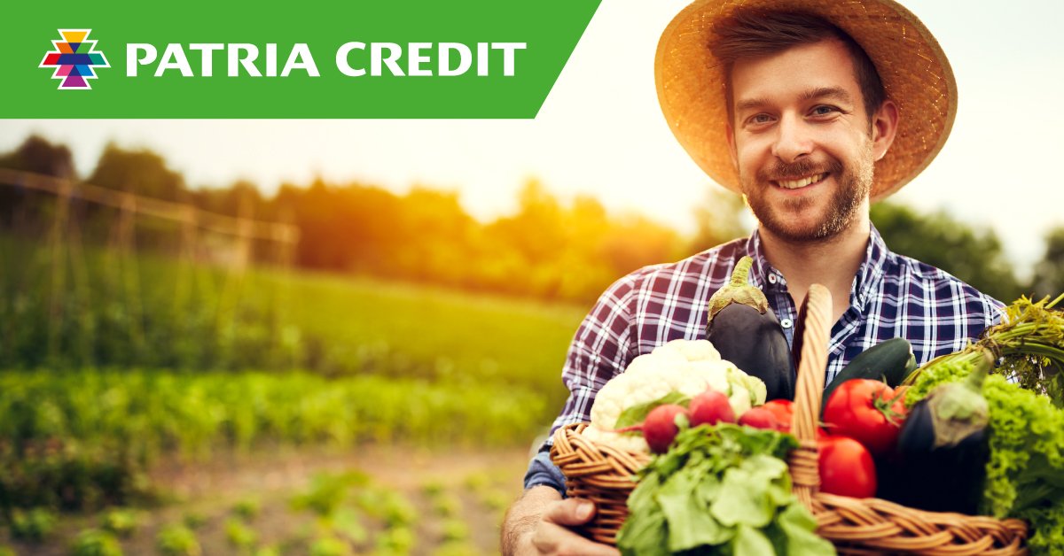 Patria Credit a obținut un profit de peste 8 milioane lei în 2024. Rentabilitate crescută a capitalu...