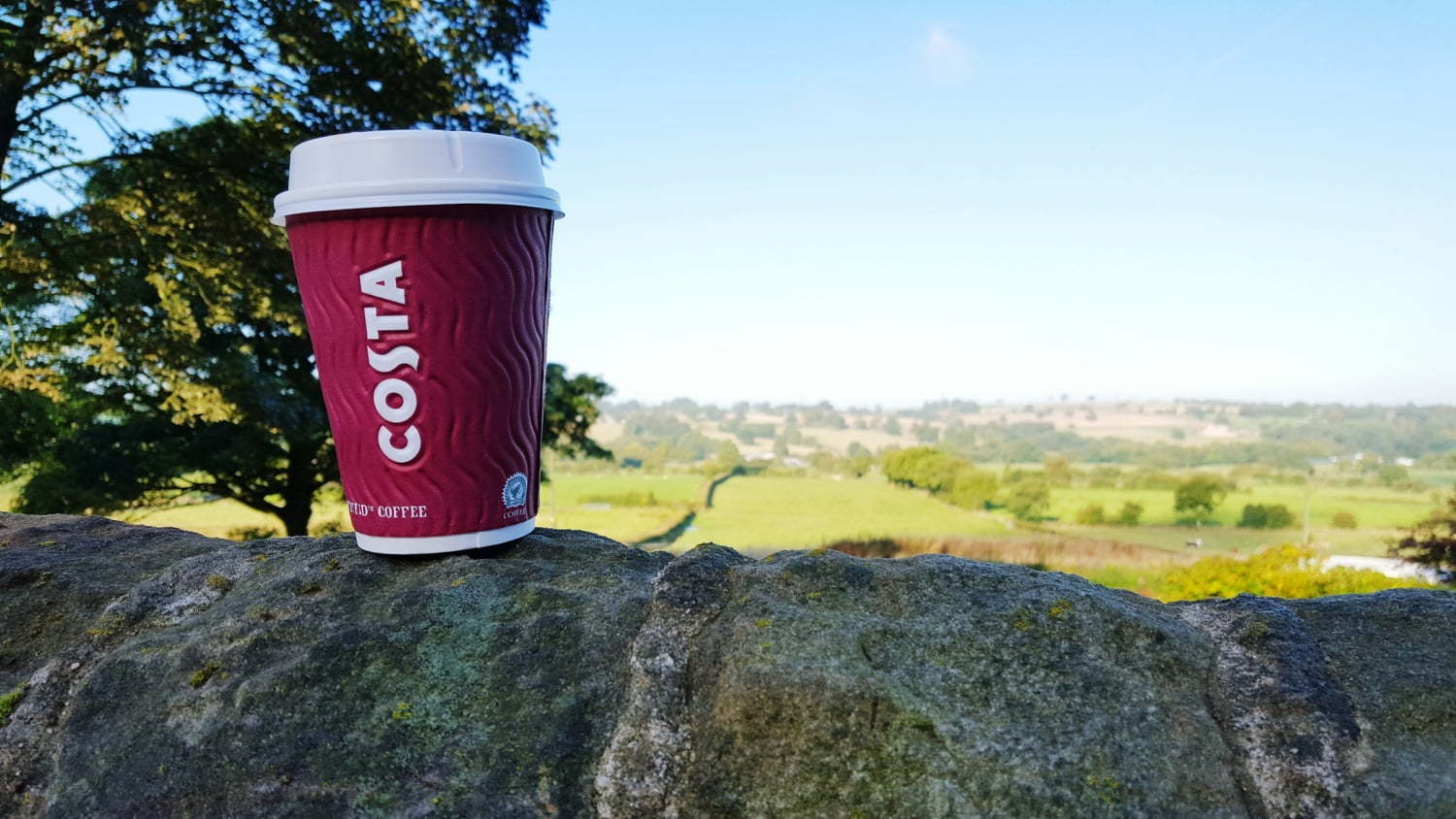 Costa Coffee relansată în România la anul