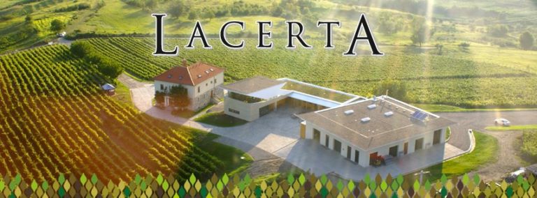 391342 318398451588839 118538494 n