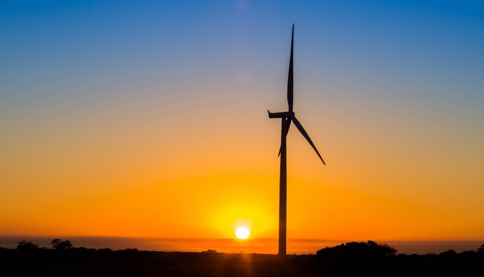 Cresc investițiile în energii regenerabile. EDP are un plan de 25 miliarde de euro