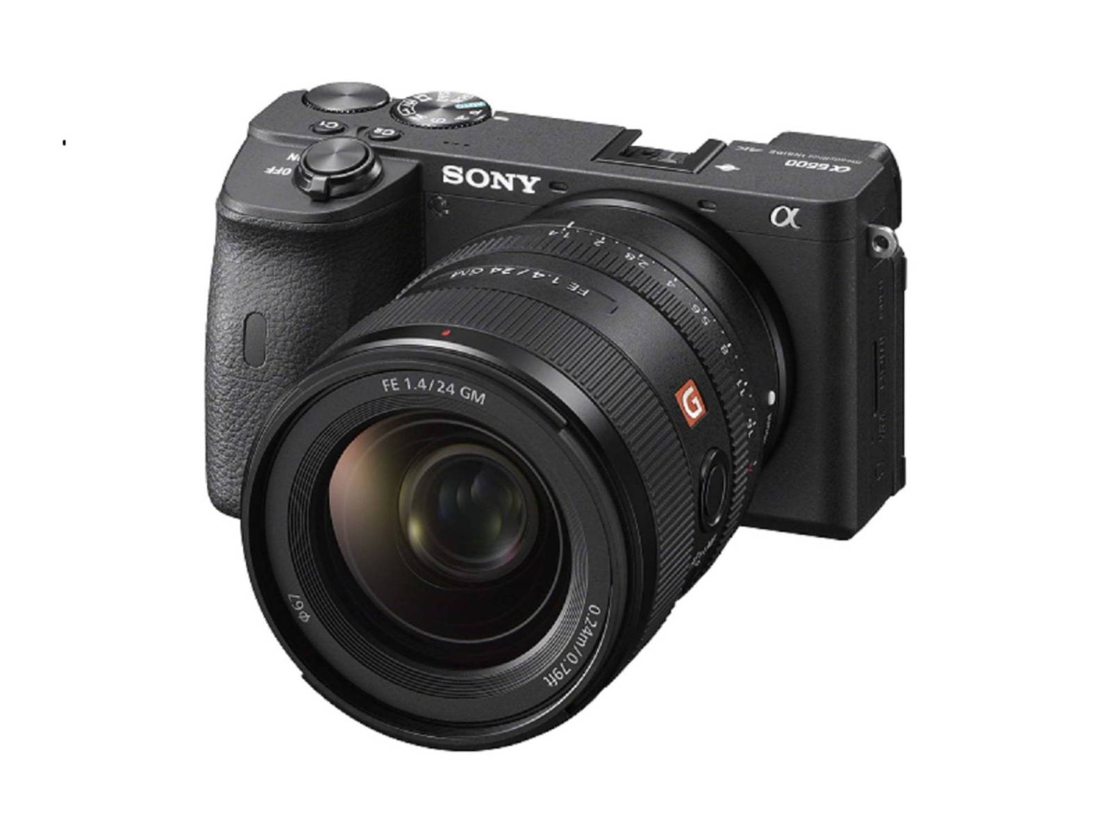 Mirrorless la cota Alpha 6600