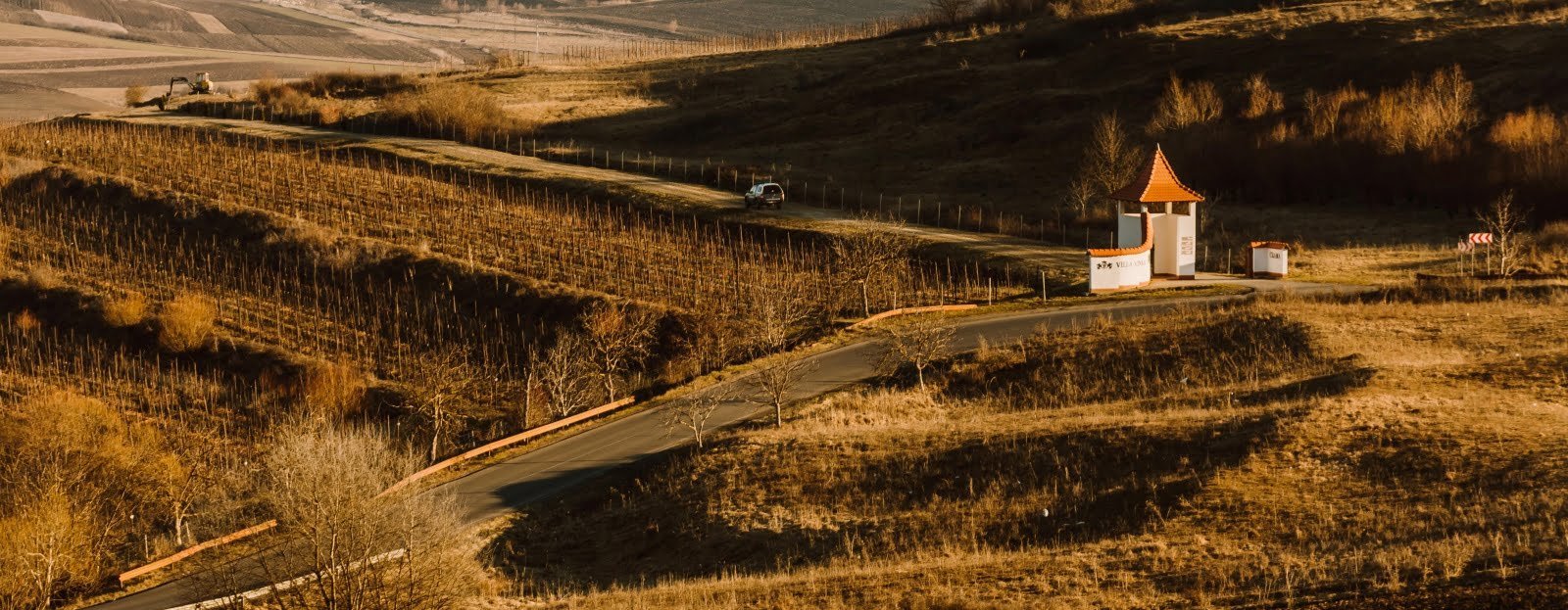 3 milioane de lei cifră de afaceri pentru crama Villa Vinèa în 2019
