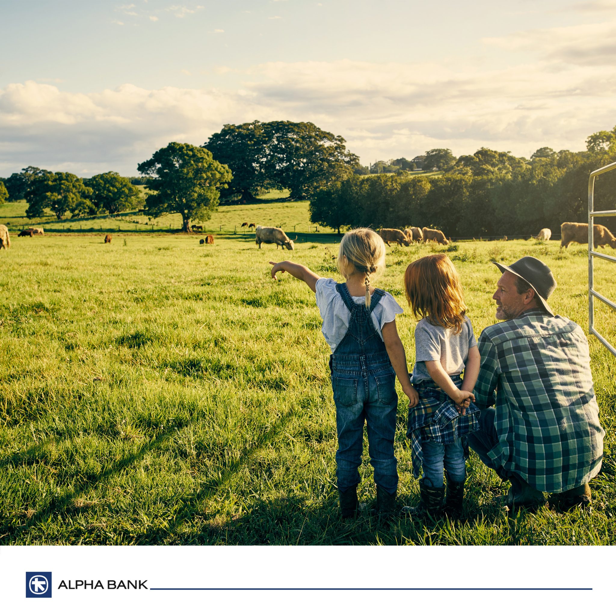 Alpha Bank, parteneriat cu APIA pentru finanțarea agriculturii