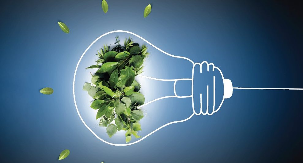 Energie electrică 100% din surse regenerabile
