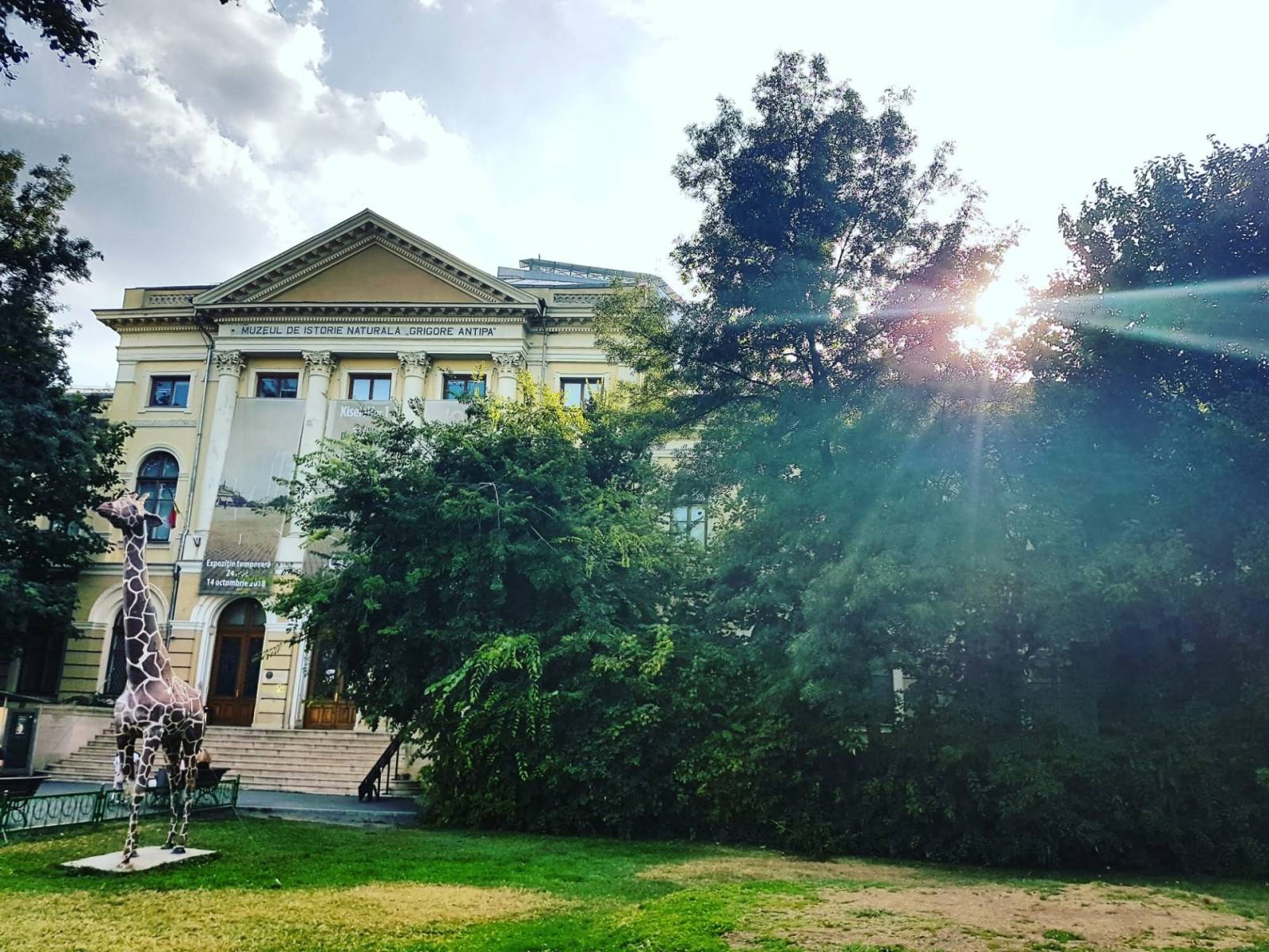 Muzeul Antipa se redeschide pe 1 iunie