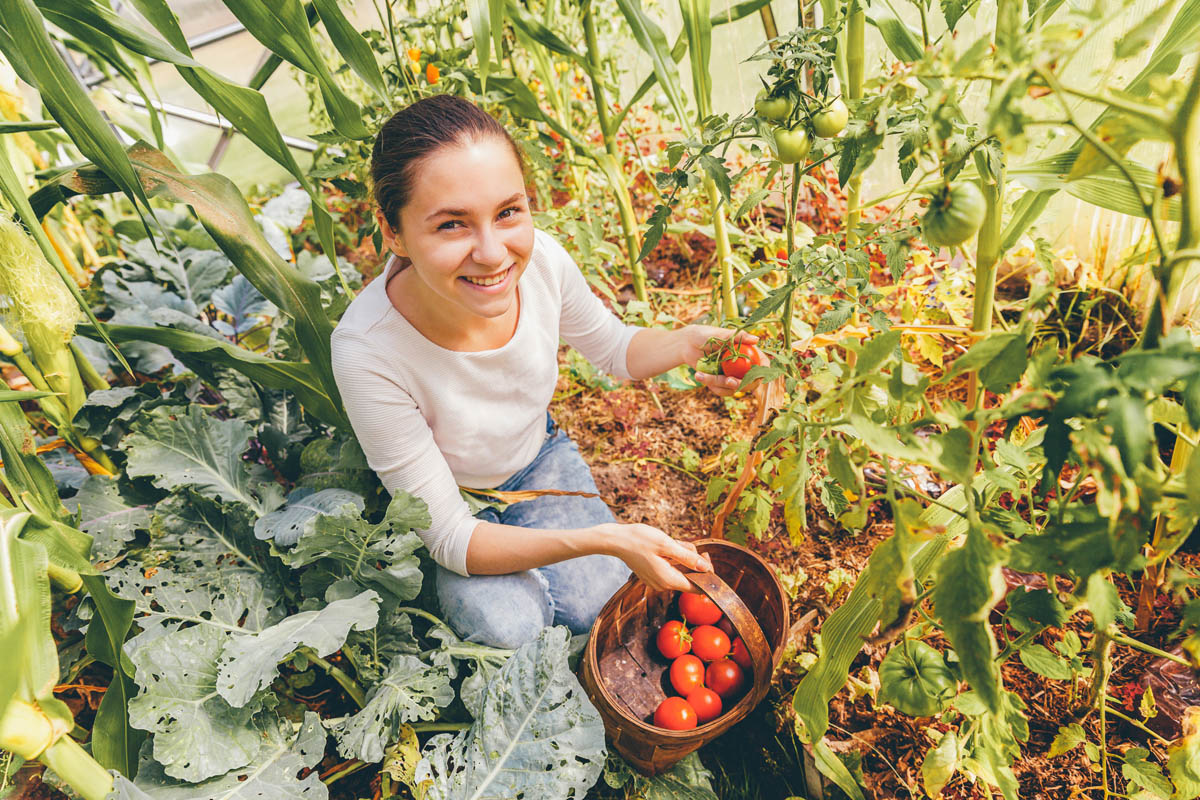 agricultura