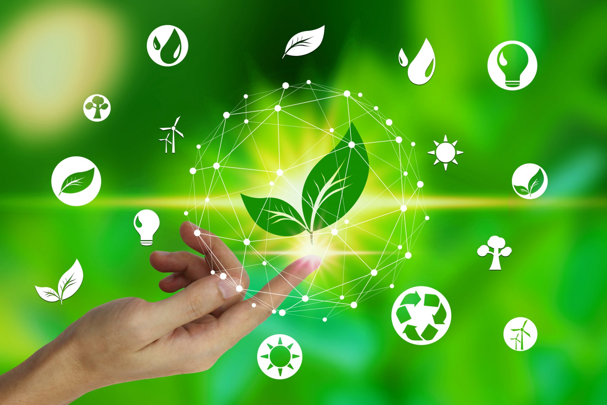 Unilever investește 1 miliard de euro într-un nou fond pentru climă și natură