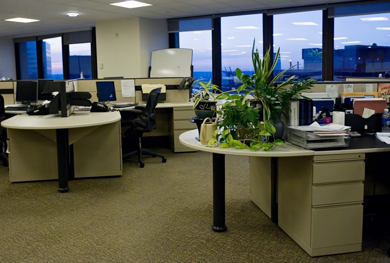 dreamstime m 3821947