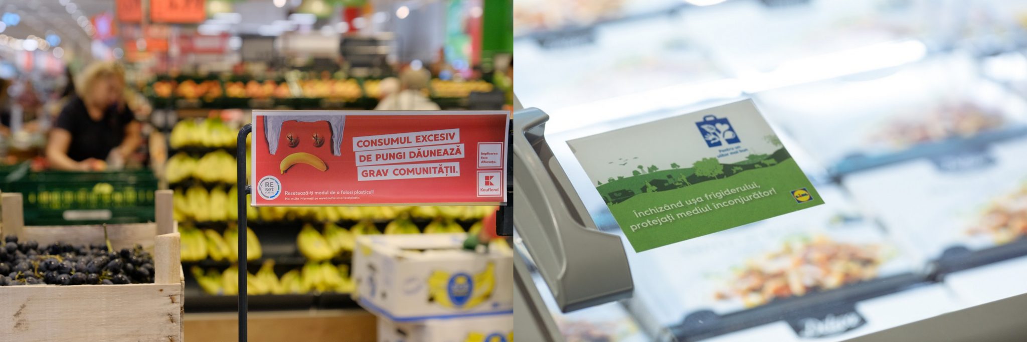 Premieră: Kaufland și Lidl au aderat la inițiativa ONU pentru sustenabilitate corporativă, în toate ...
