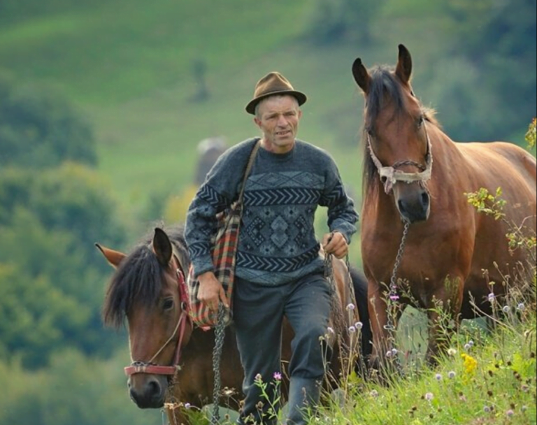 travlocals.com e1591199277223