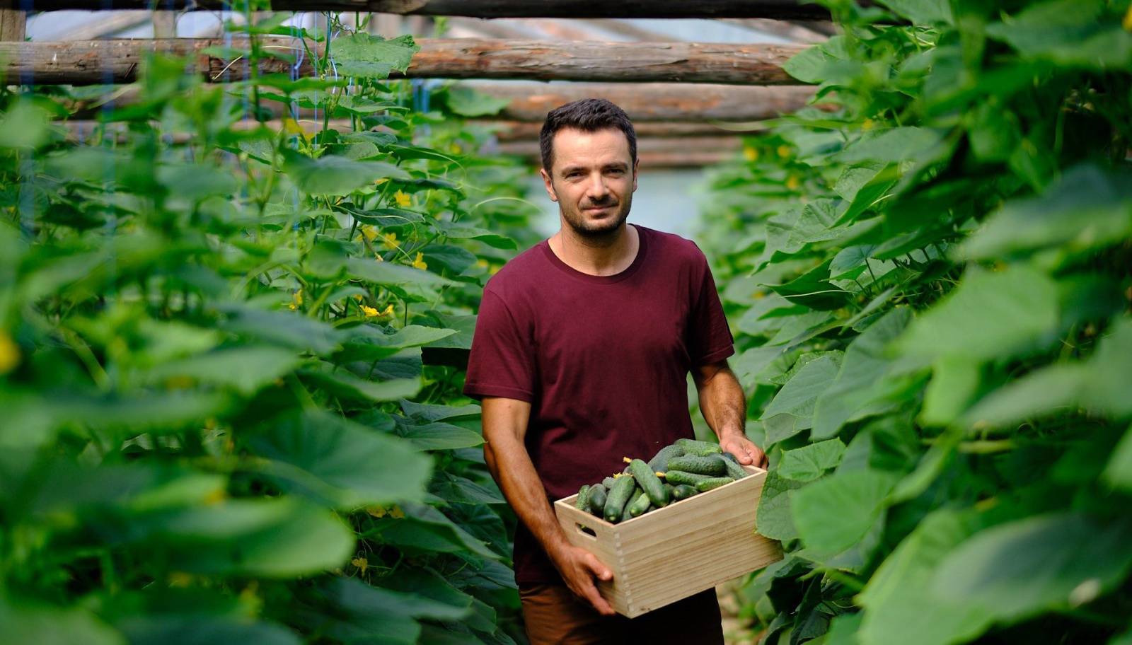 producători locali