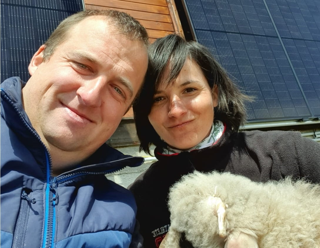 Doi tineri din Sibiu au pus pe picioare o afacere inedită: îngrășământ eco din lână de oaie