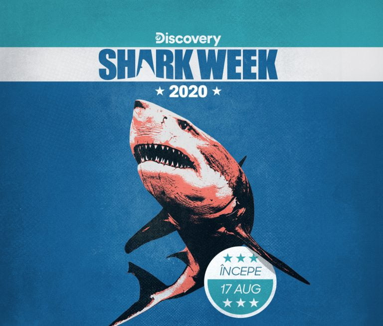 KV Discovery Channel Shark Week e1597392845958