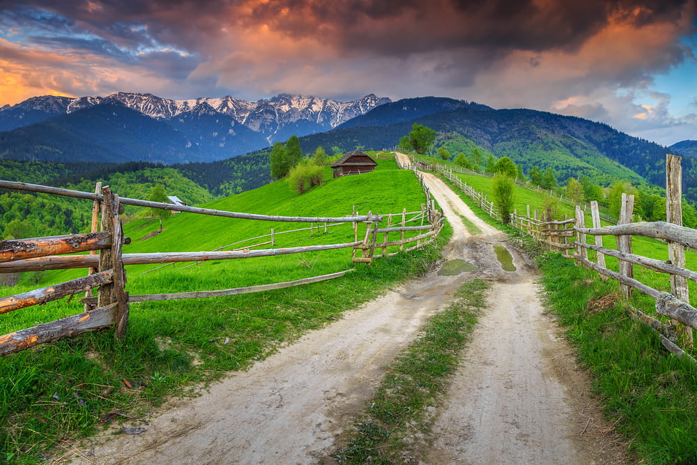 Efectele pandemiei: Peste 60% dintre românii din urban se gândesc să se mute la țară