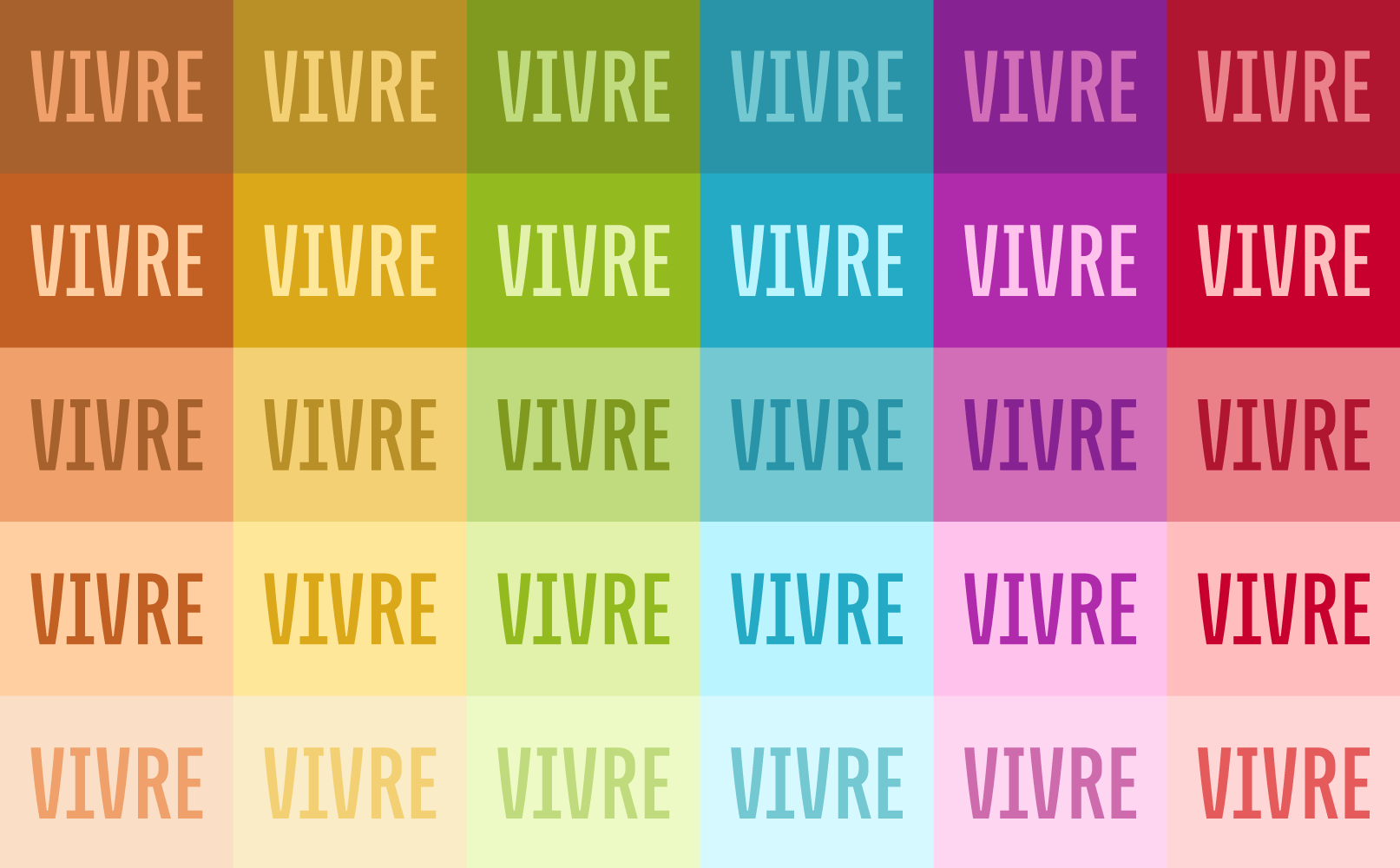 Vivre are o nouă identitate vizuală. Rebrandingul a fost finanțat de BERD