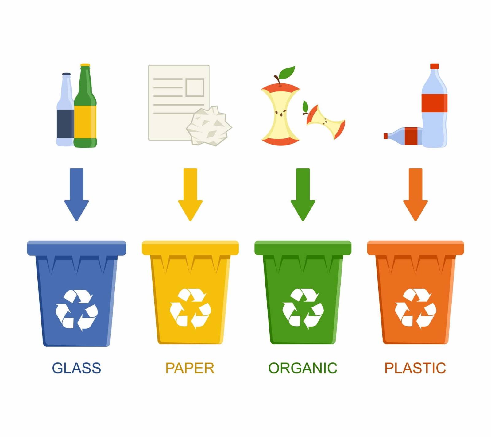GreenPoint alocă 150.000 de euro din profit pentru educație în domeniul reciclării