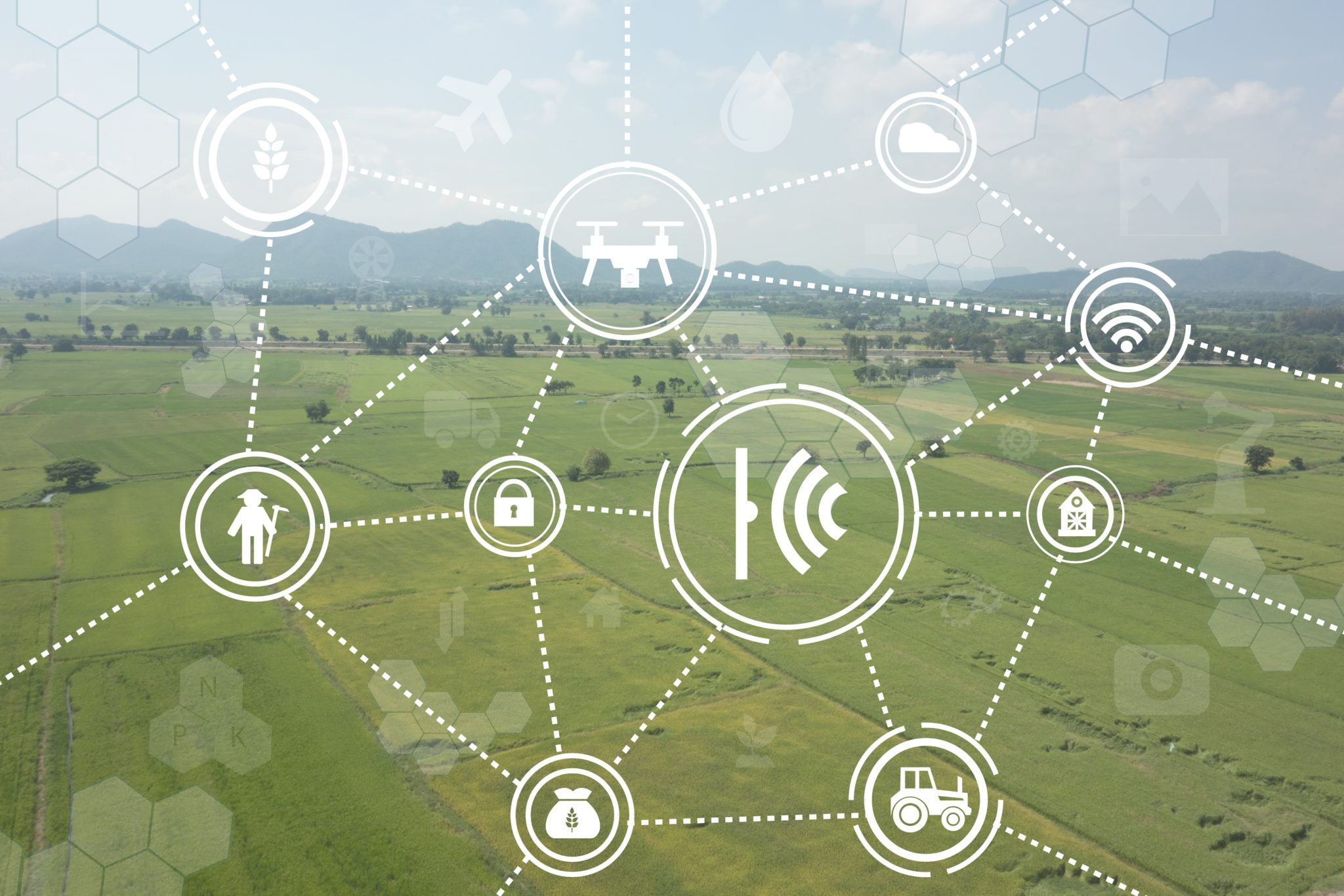 Startup-uri care remodelează agricultura