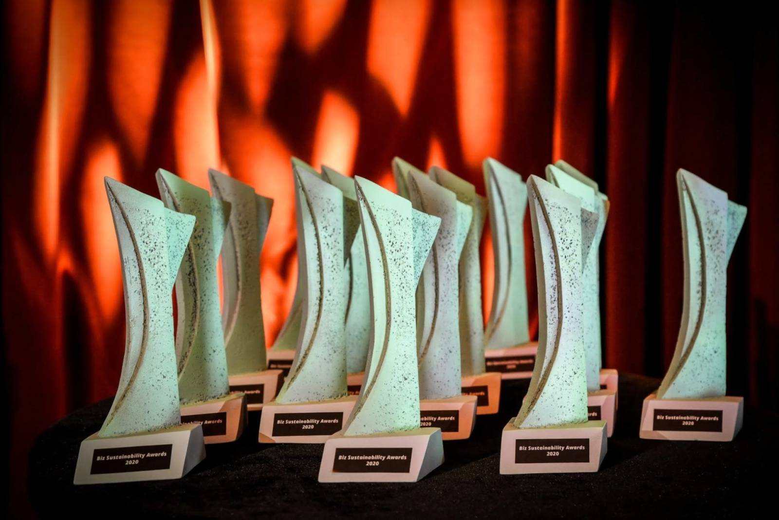 Biz Sustainability Awards