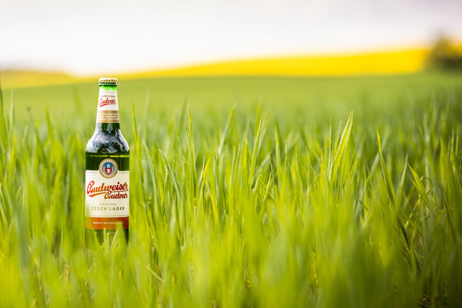 Budweiser Budvar se prezintă cu o nouă imagine