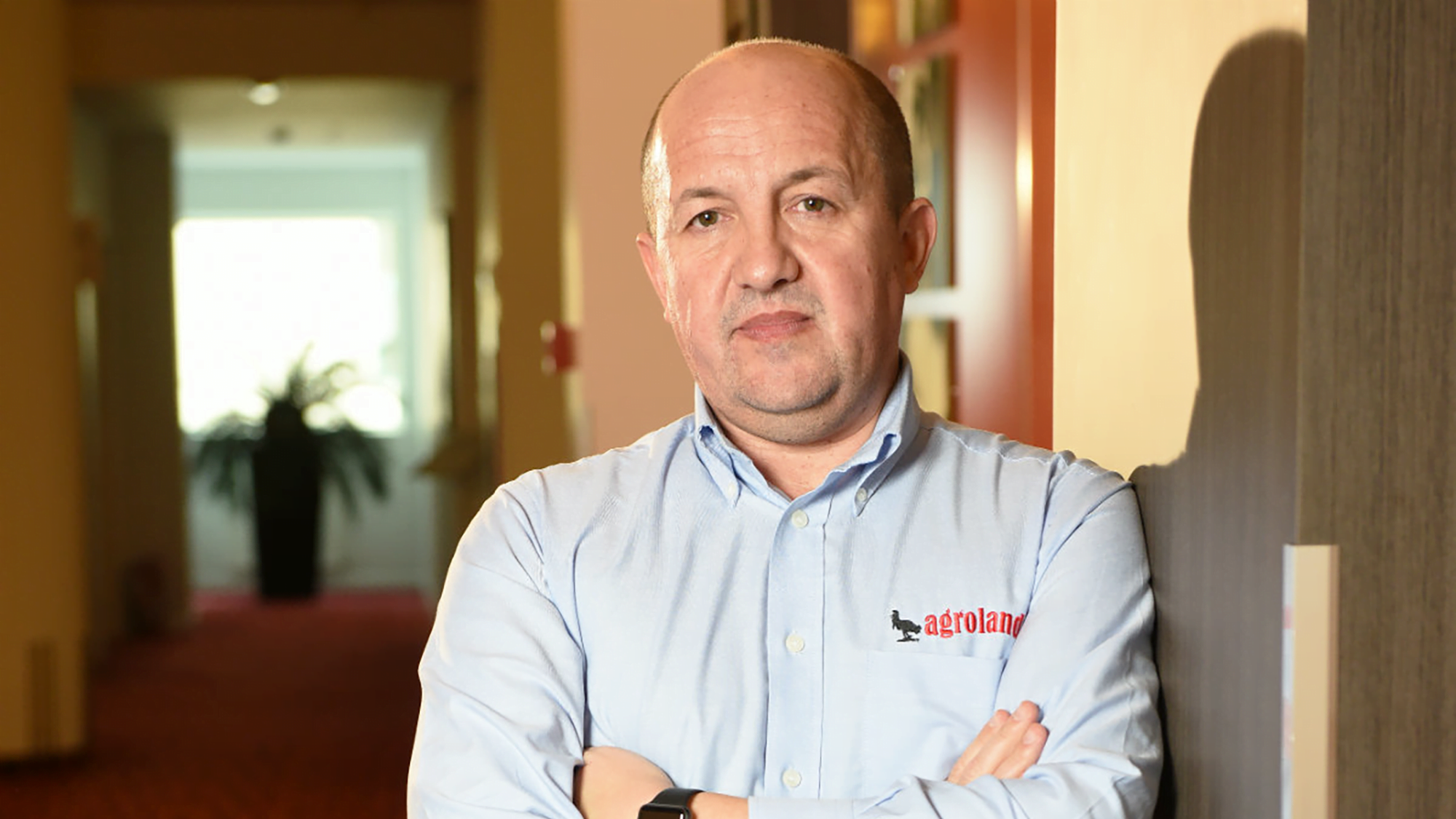 Investiții în pandemie: Agroland preia Avicola Mihăilești și intră pe piața ouălor de consum