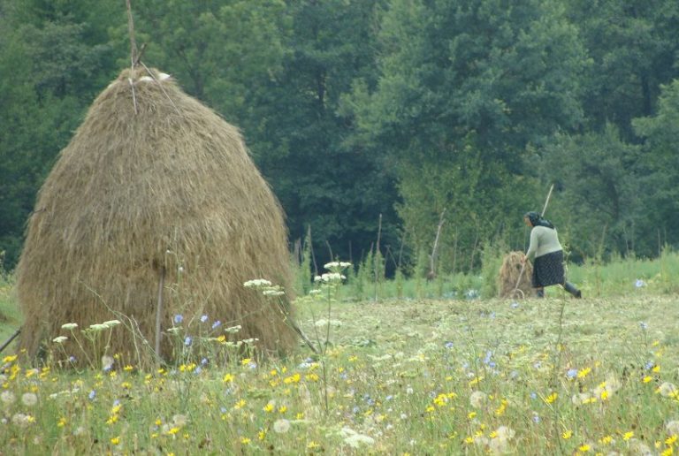 maramures e1603356819653