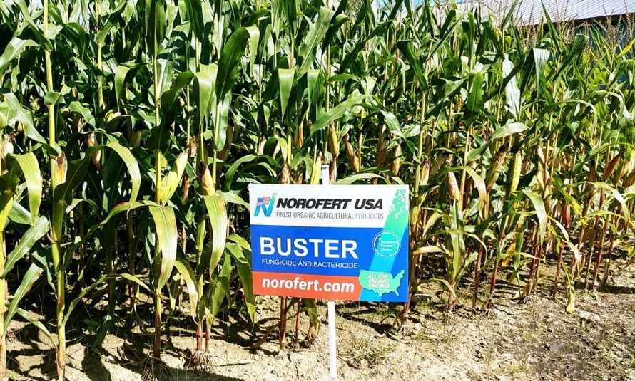 Norofert Group: profit net de peste 5 milioane lei, în primele nouă luni ale anului
