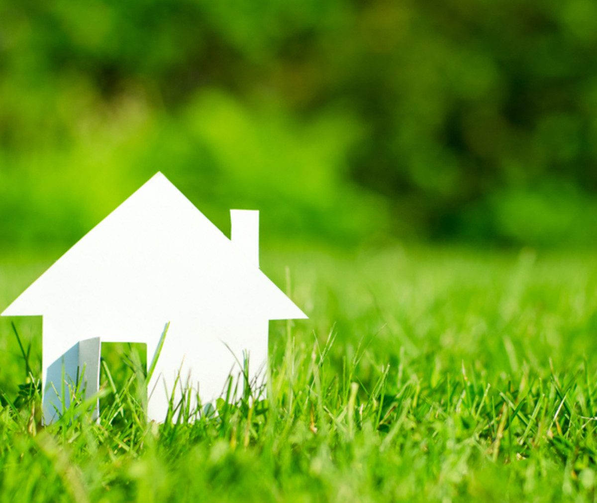 Casă vs apartament. Care sunt tendințele în opțiunile românilor