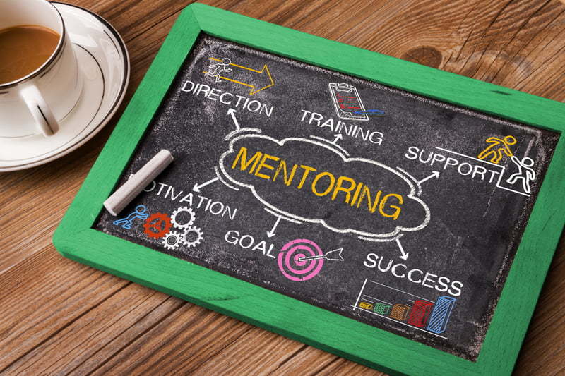 Avocado lansează un program de mentorat pentru antreprenori și manageri