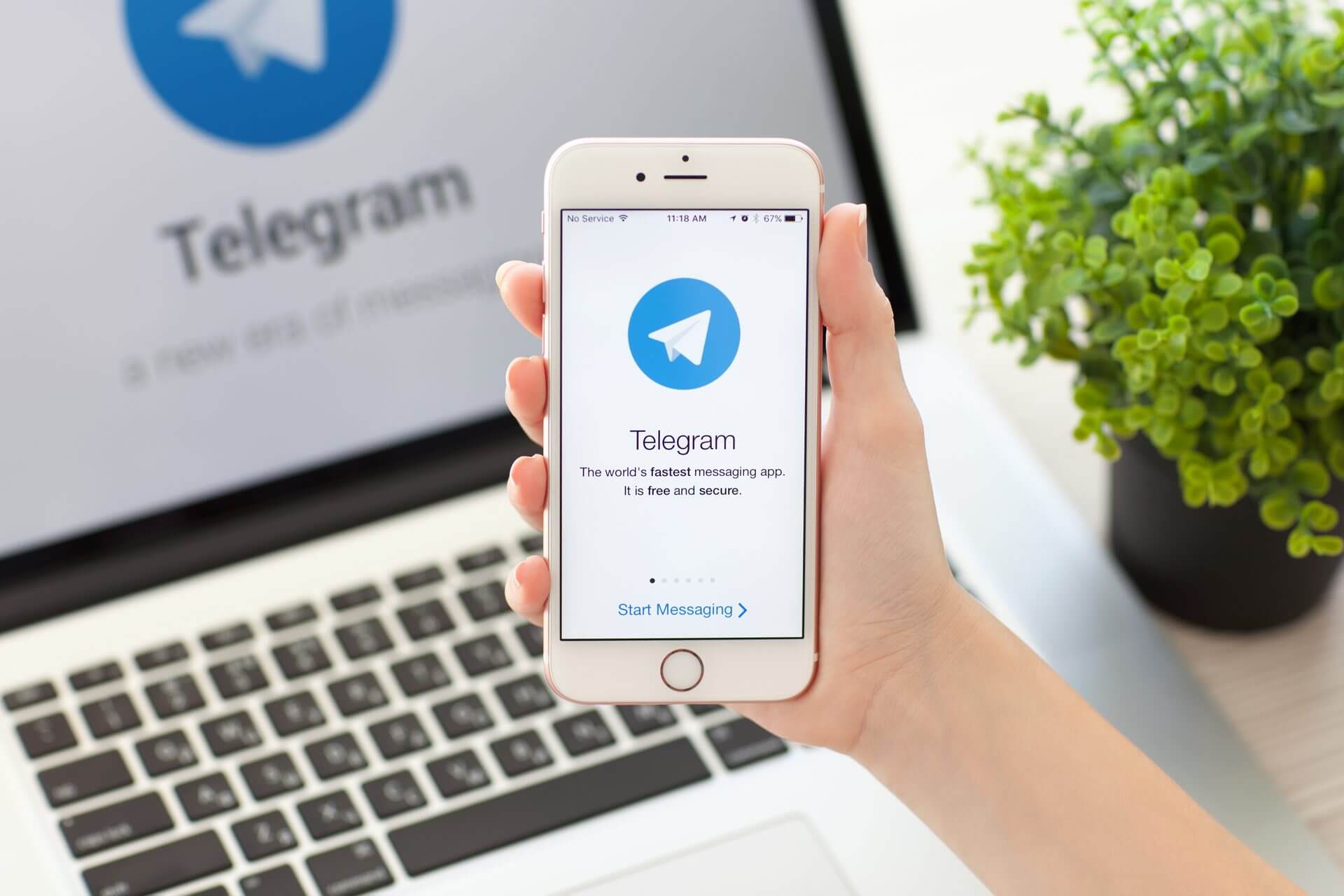 telegram chat