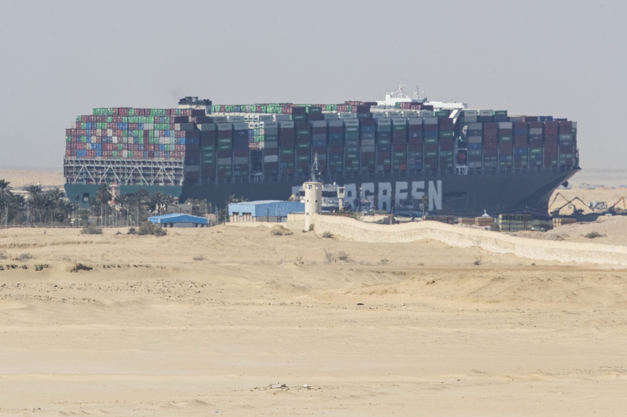Navele cu animale blocate în Canalul Suez au ajuns la destinație