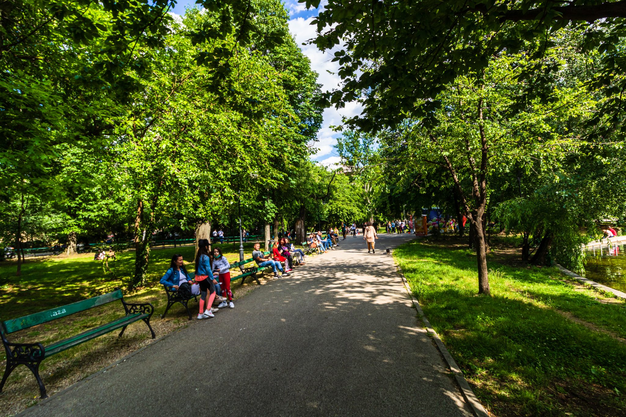 relaxarea restrictiilor