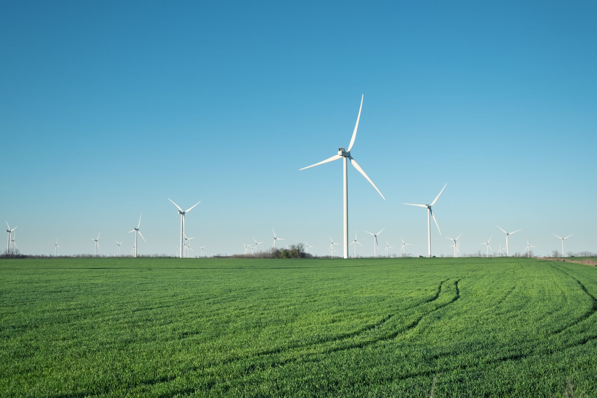 green energy energie verde