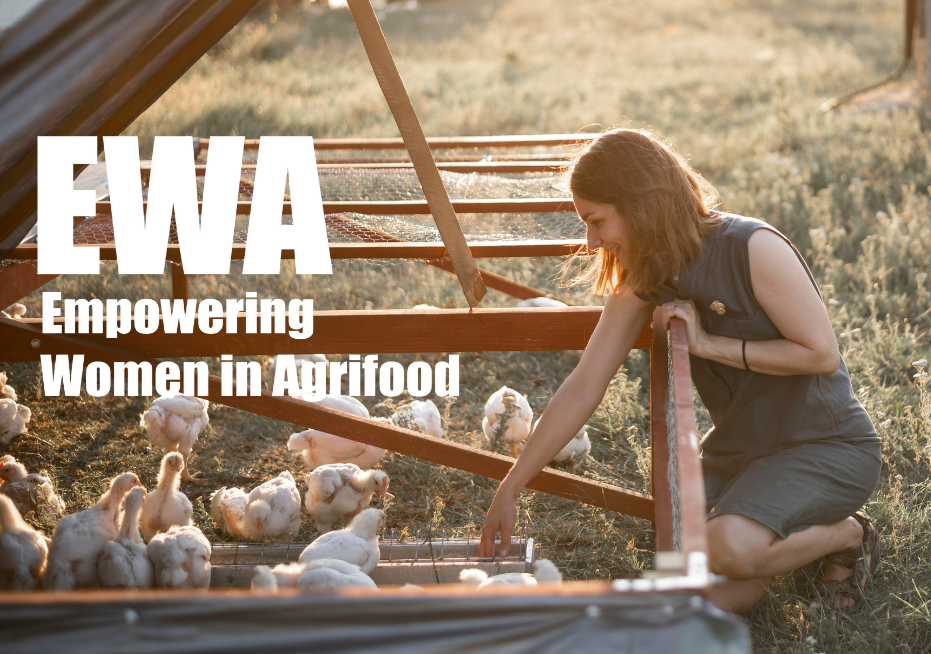 Cine sunt antreprenoarele acceptate în a doua ediție a programului Empowering Women in Agrifood