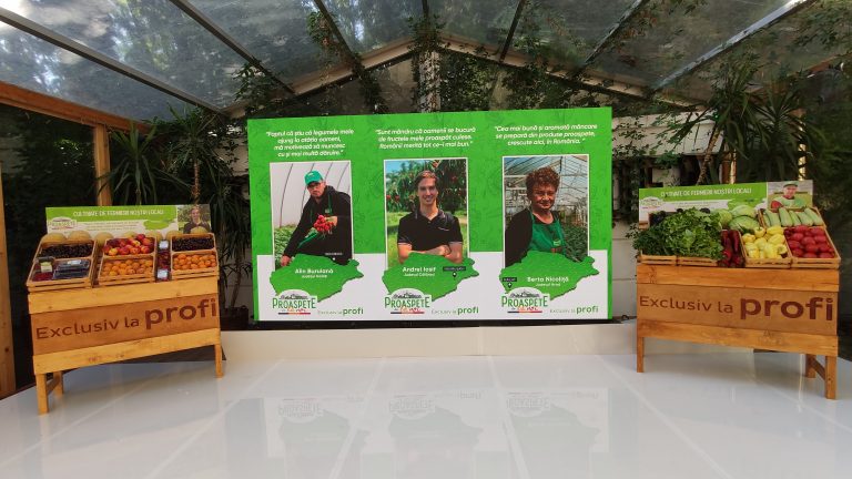 Proaspete de la noi - profi