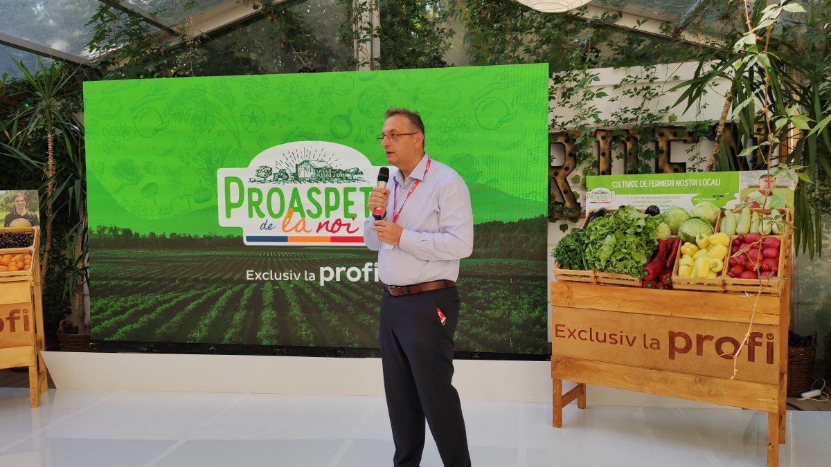 Călin Costinaș - Profi