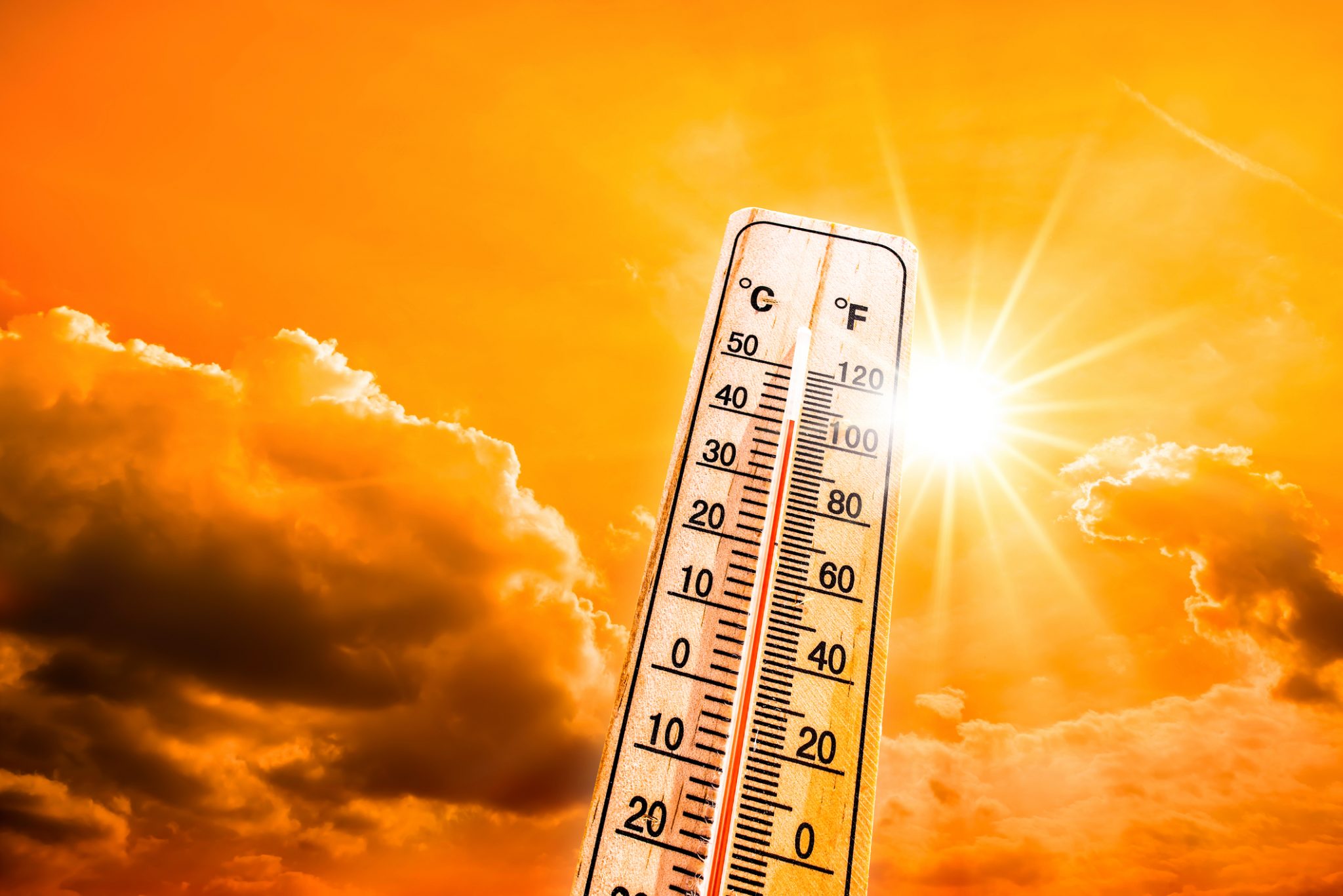 Schimbările climatice, cea mai gravă problemă cu care ne confruntăm în prezent