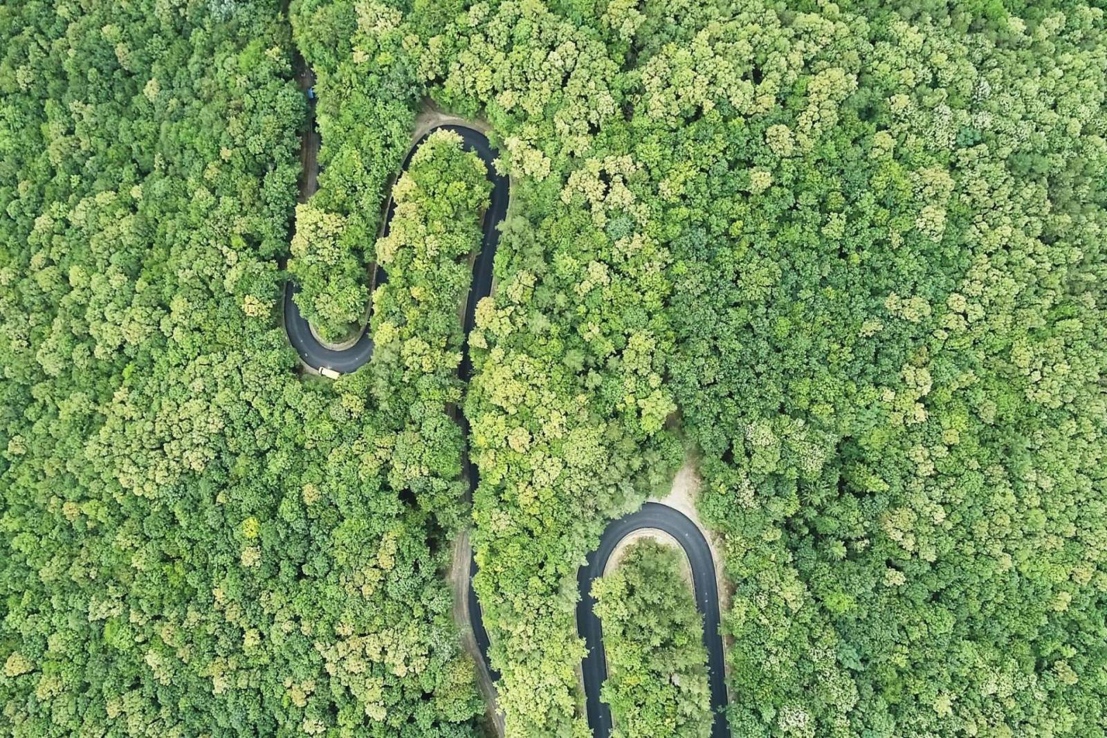 240813179 3063661853918542 2618441933085992537 n