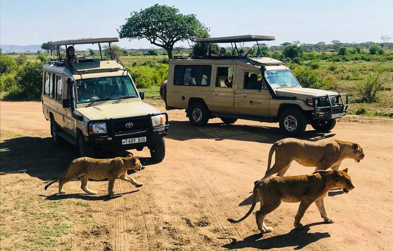 destinatii exotice-Kenya