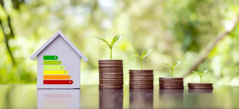 case verzi-Casa Mea NaturA