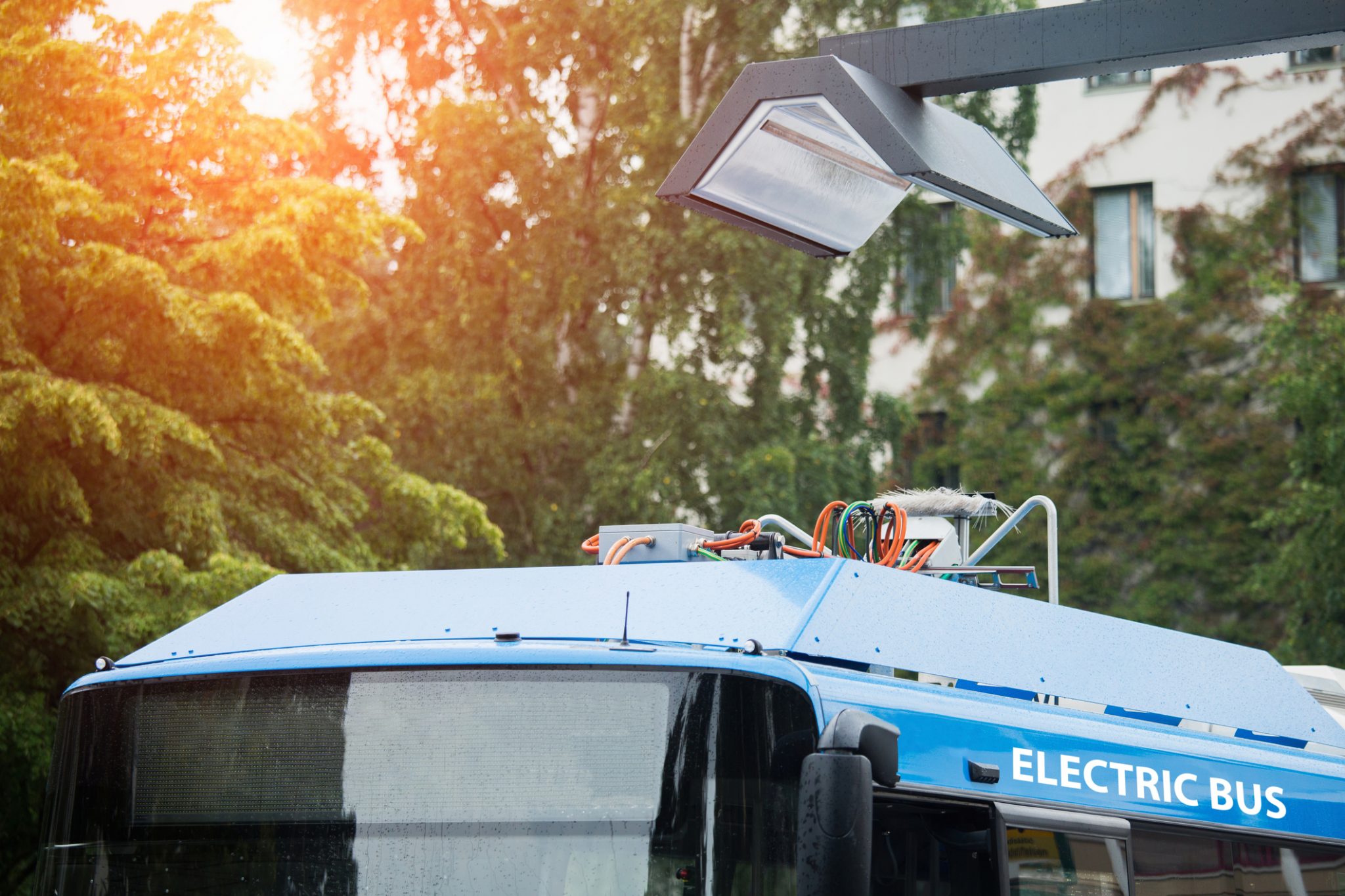 Timișoara și Brașov vor avea autobuze electrice cumpărate de Ministerul Dezvoltării
